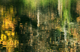 Autumn Reflection